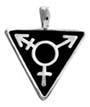 Gay Pride Jewellery Transgender Symbol Pendant